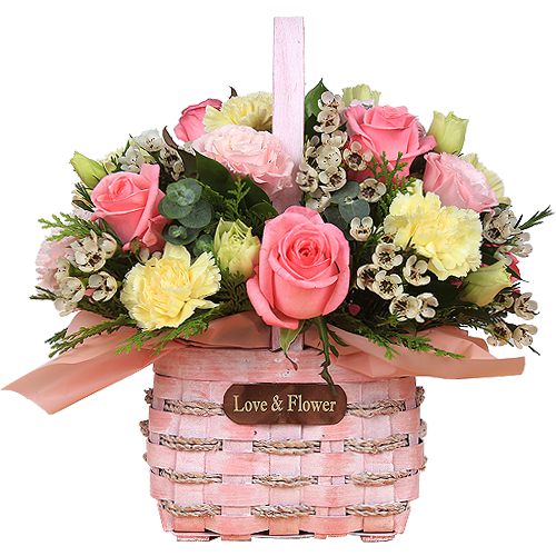 에코플라워 꽃배달 (따스한햇살) 전국당일배송 사진전송 생일 생신 선물 꽃다발 꽃바구니 승진 기념일 이벤트 당일배송 a-0125 49,500원