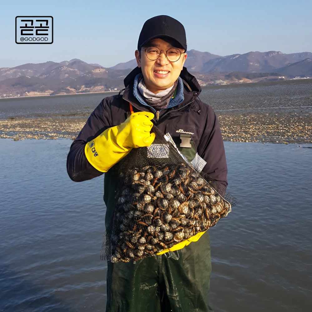 고창 동죽조개 서해안 제철 모시 물총 조개 1kg 3kg 5kg 7kg 10kg 해감완료 업소용 59,400원