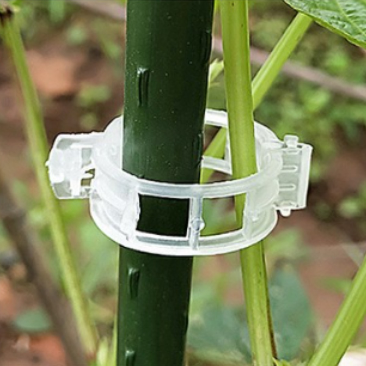 식물 고정 끈 식물 집게 나무 지지대 가든 정원 소품, 1세트 5,500원