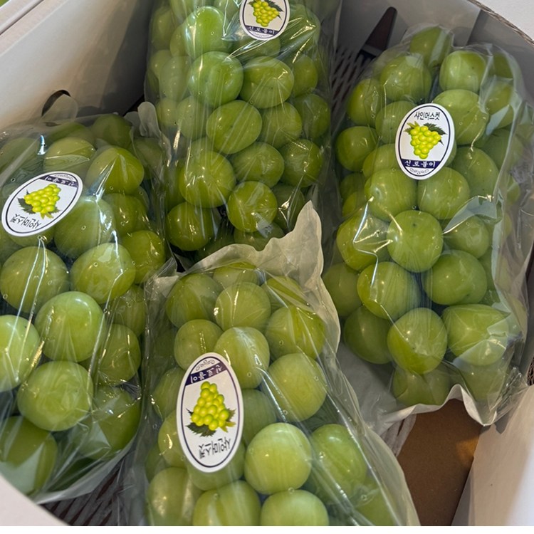 산지직송연구소 국내산 알뜰 고당도 샤인머스캣 4kkg 6-7수 아삭한 껍질째 샤인 씨없는 고당도 21,950원