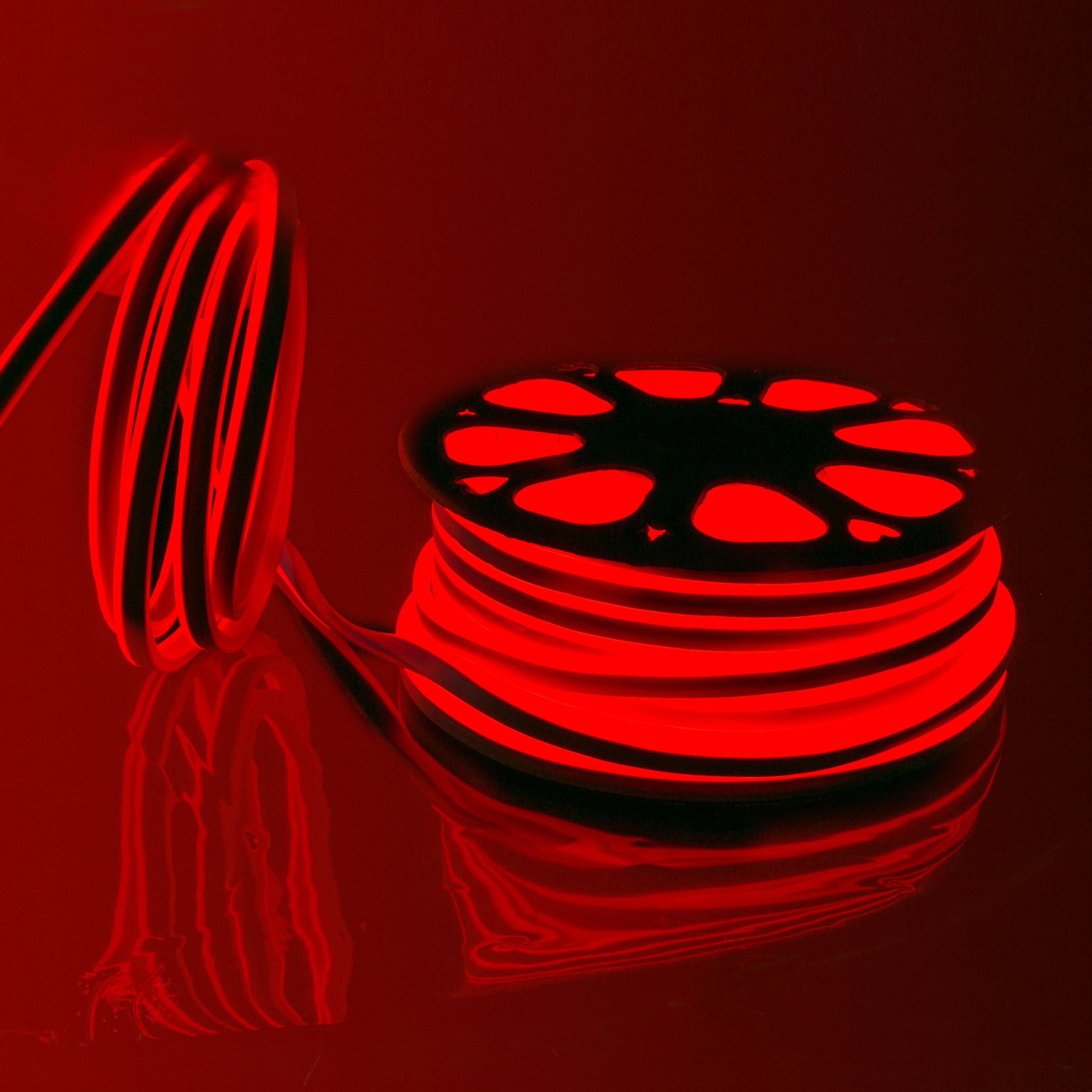 올판 AC 220V LED 네온 플렉스 30m 간접조명 줄조명 줄네온 논네온 1m 컷 가능 120,500원