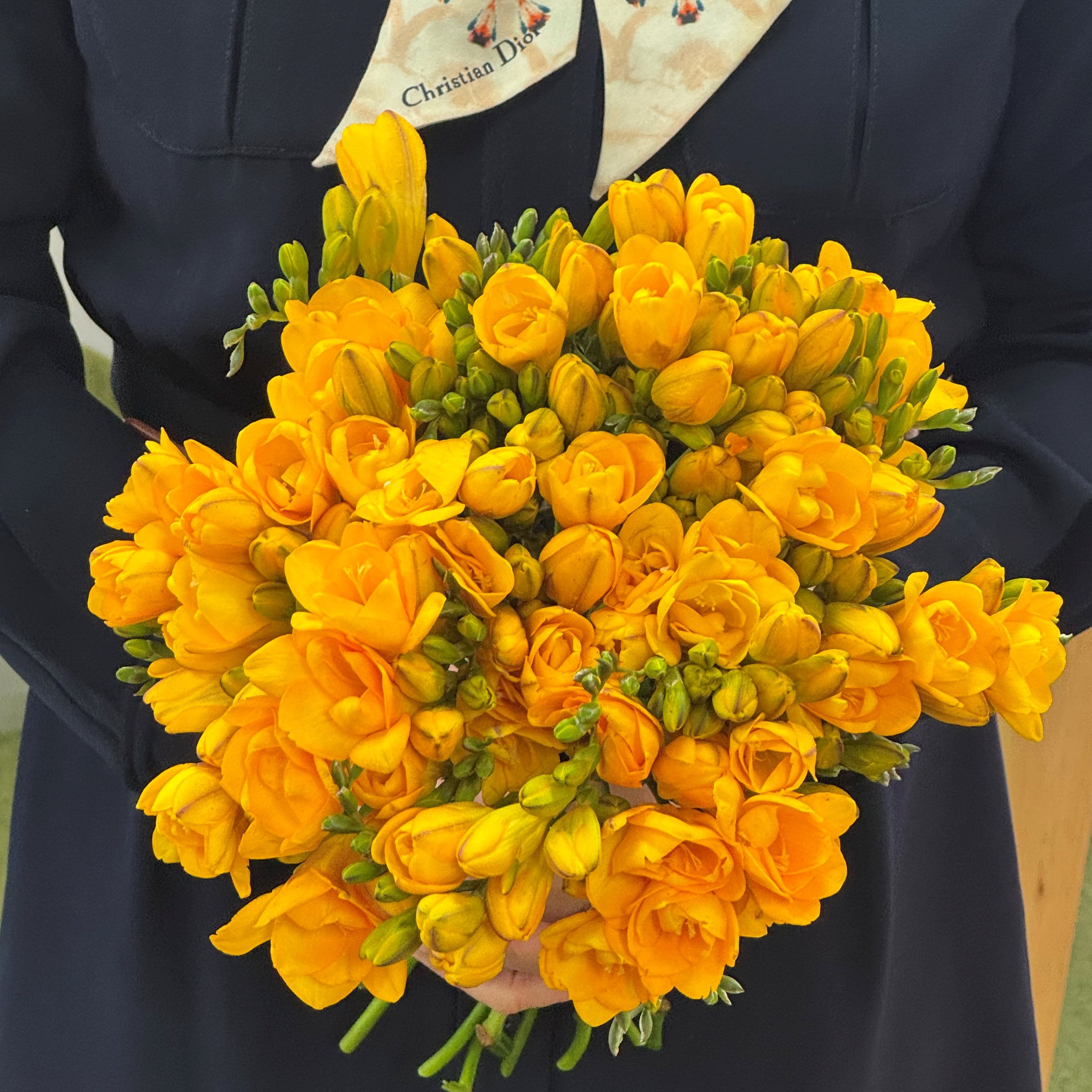 할인 진한노란 후리지아 30줄기 나를 위한 꽃선물 은은한 향기 가득한 프리지아 생화택배 화훼농가살리기, 후리지아 30줄기, 1개 16,900원