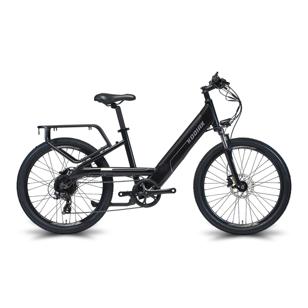 알톤스포츠 이 2022 전기자전거 코디악 24S 파스전용 일반셀 16.7~17.5Ah, 무광블랙, 알루미늄 1,690,000원