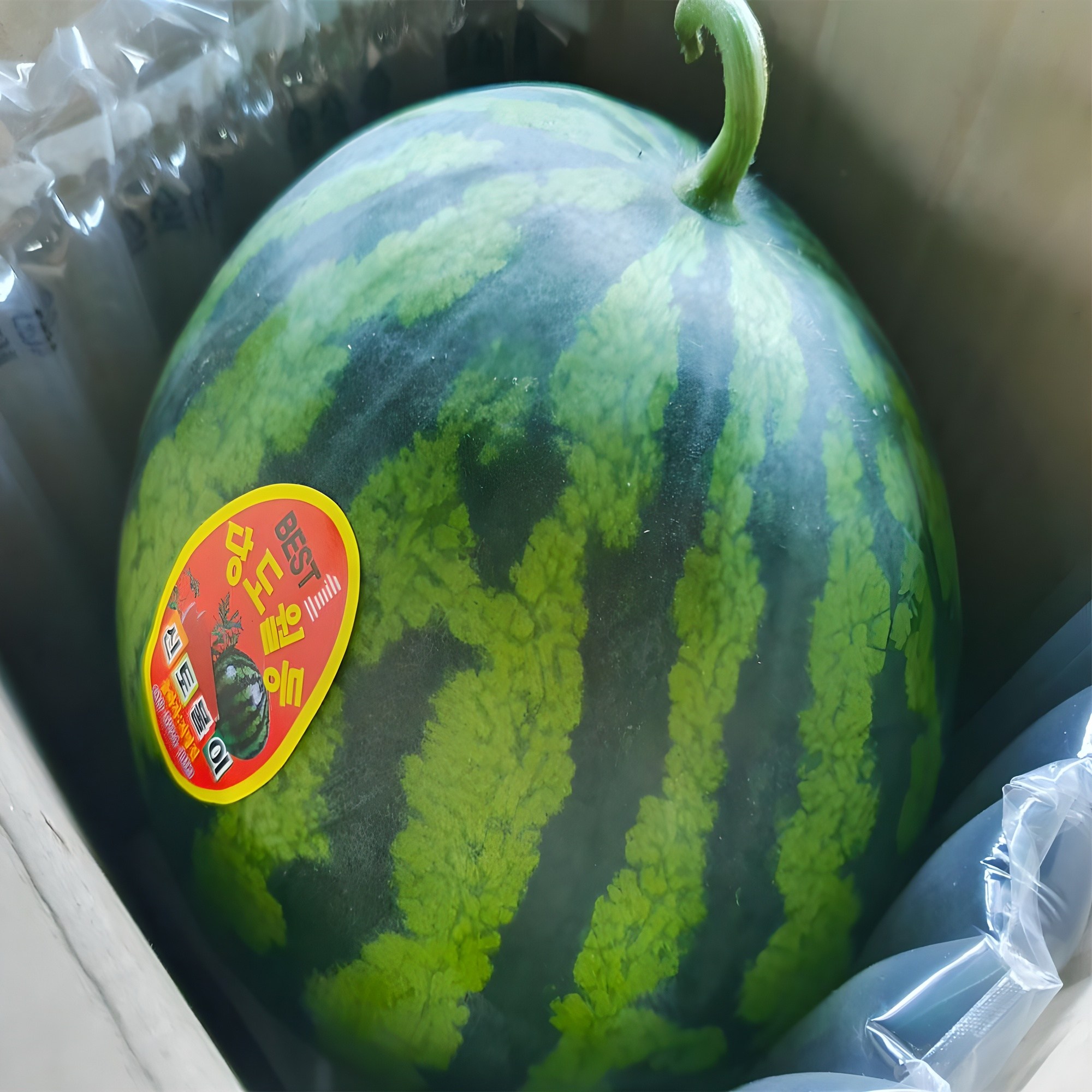 당도선별 수박 에어포장 고당도 꿀수박 16,390원