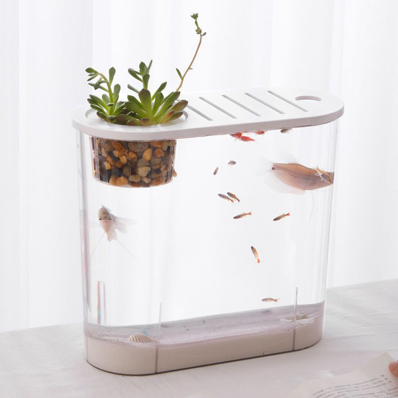 HK.sell 웨일 깨지지않는 곡선형 거북이수조 클린 미니어항 16,800원