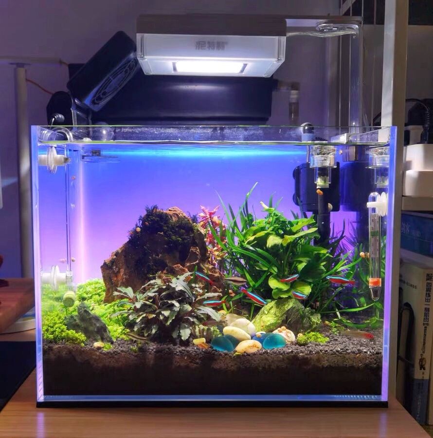 수족관 라이트 백스크린 LED램프 어항 수조 배경 조명 54,900원