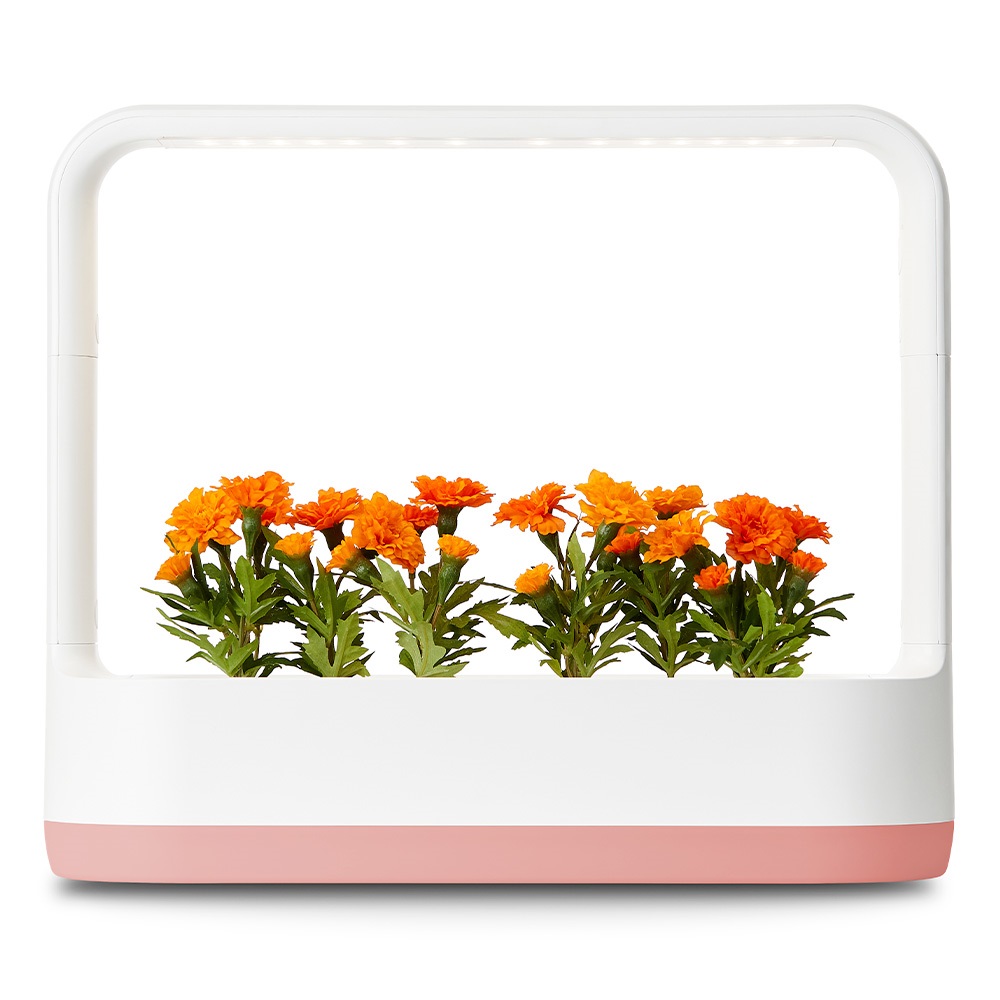 LG전자 틔운 미니 식물생활가전 208,000원