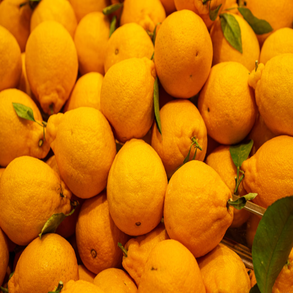 [5일한정세일] 농장직송 새콤달콤 제주 한라봉 17,800원