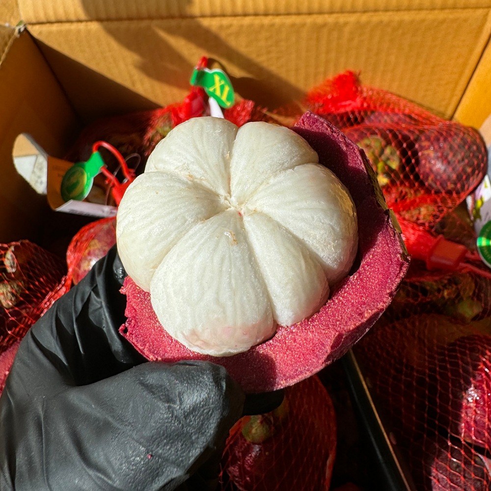 생 망고스틴 태국 망고 스틴 생과 열대과일 현지 맛 그대로 1kg 2kg 36,900원