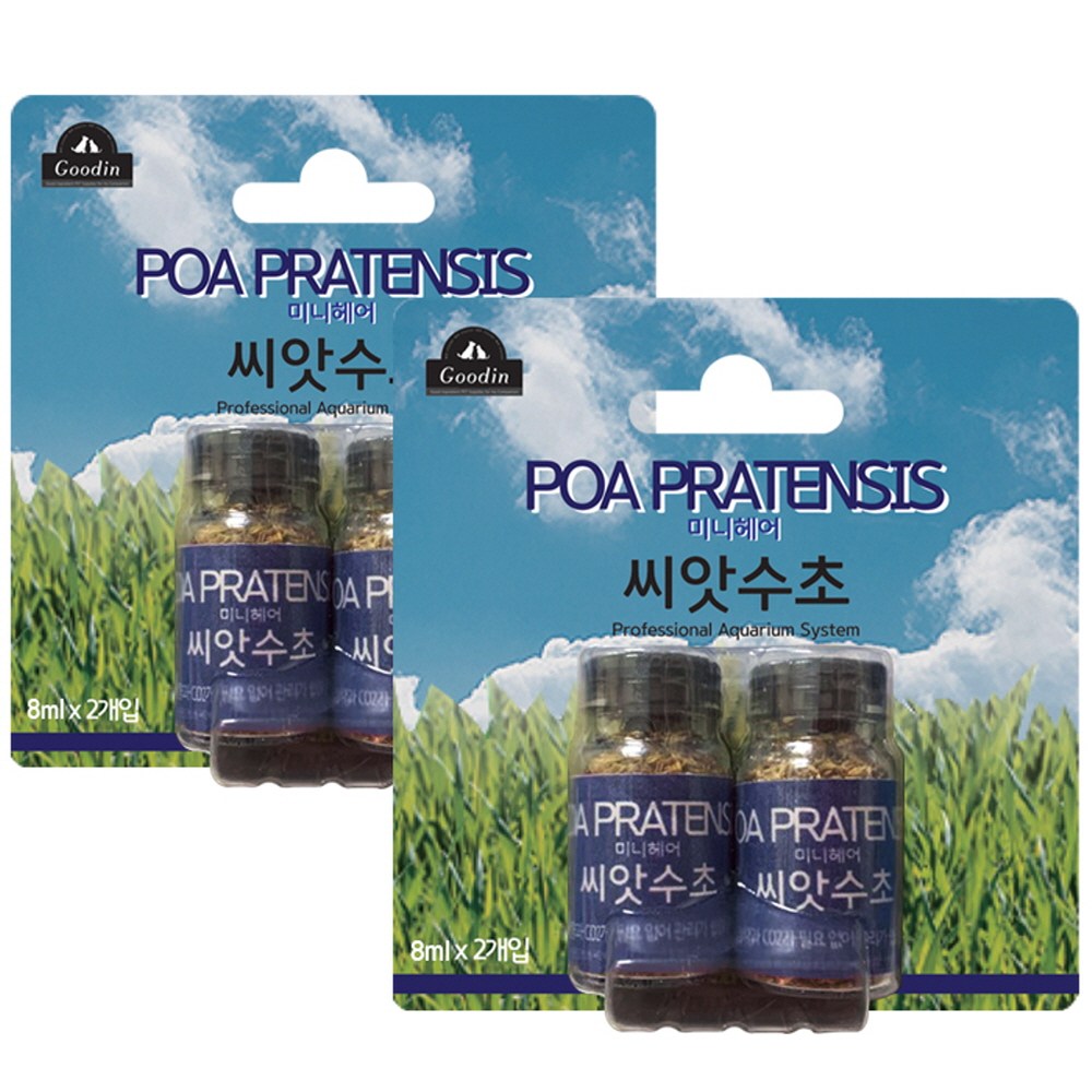 구딘 하이그로필라 중경 씨앗수초 6g 18,500원