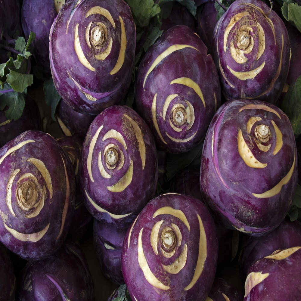 [산지직송]제주도 아삭한 햇 혼합과 "콜리브리" 콜라비, 혼합과, 1박스, 3kg 20,500원