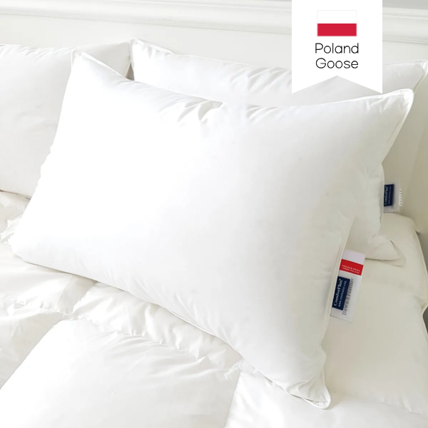 [국내생산 맞춤] 컴포플러스 폴란드 구스베개솜(솜털90%), 1개, 화이트 178,000원