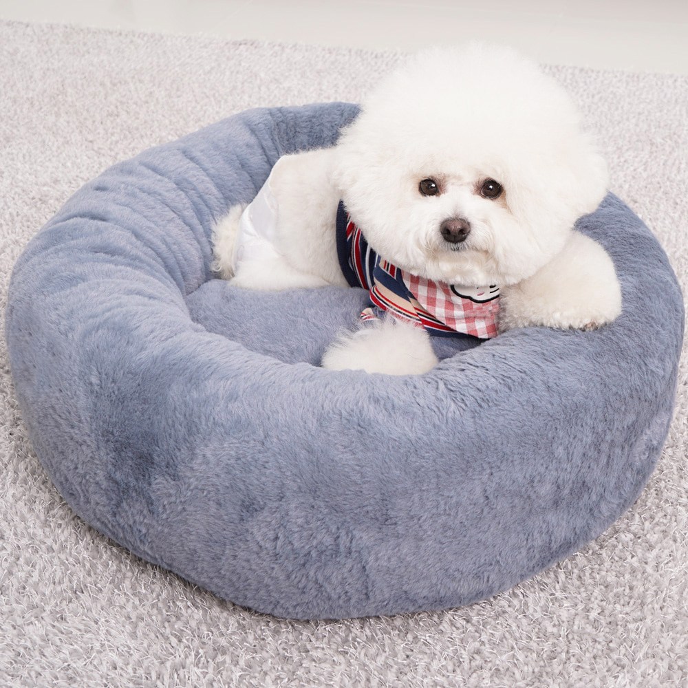 개과천선 DU방석 반려동물사계절용 꿀잠 강아지 방석 45,100원