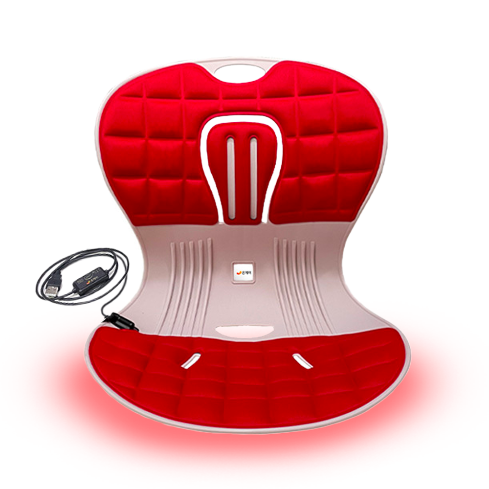 온체어 USB 온열 좌식의자 척추 허리 등받이 바른 자세교정 69,000원