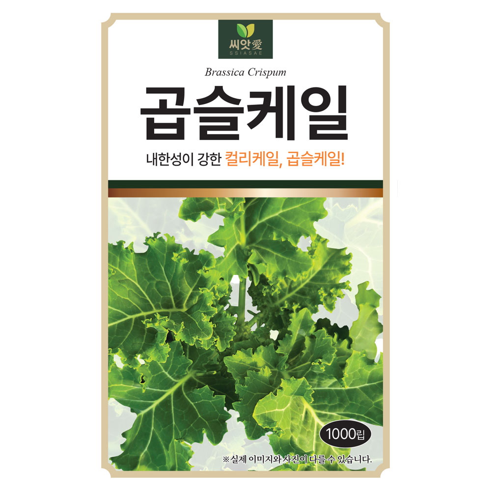 다농 곱슬케일 씨앗 1000립 5,000원