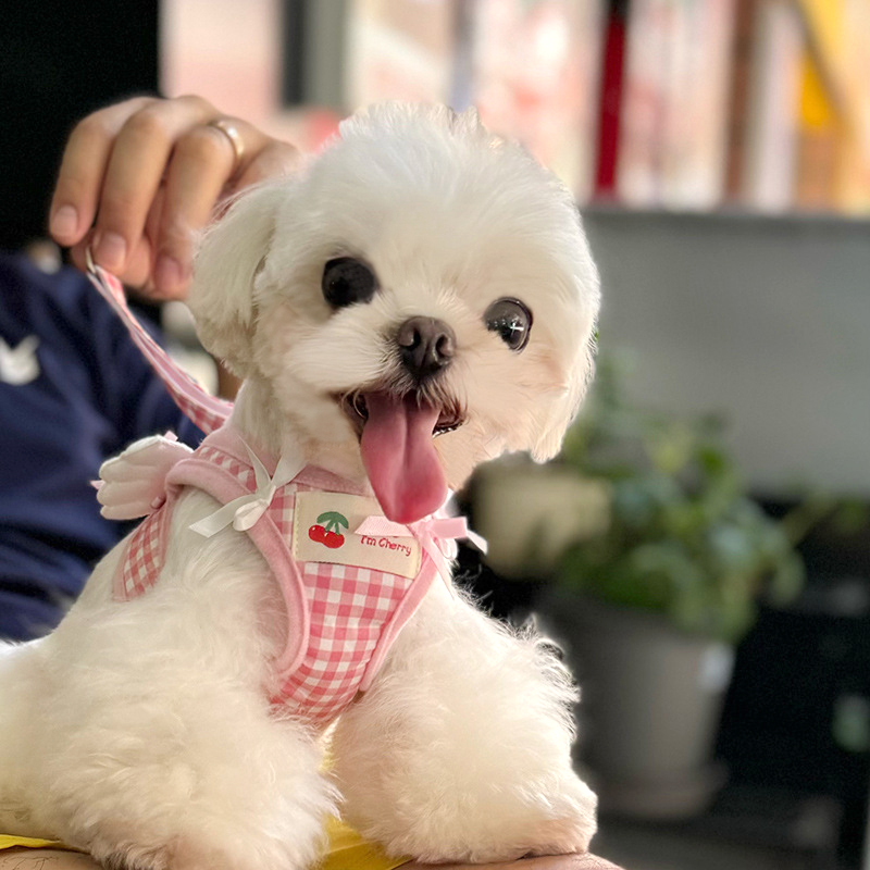 파스텔펫 반려동물 리본엔젤 하네스 리드줄 7,800원