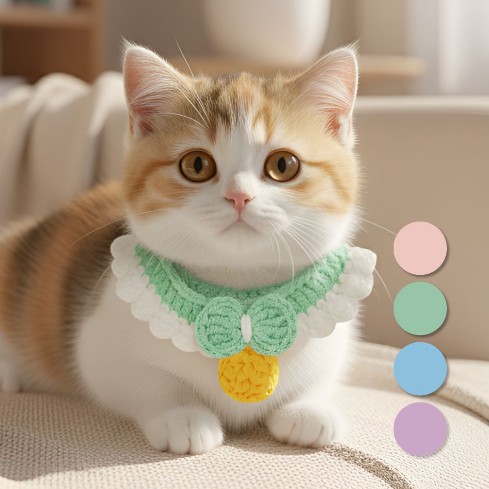 블루밍유 강아지 고양이 니트 방울 케이프, 1개, 민트 9,000원