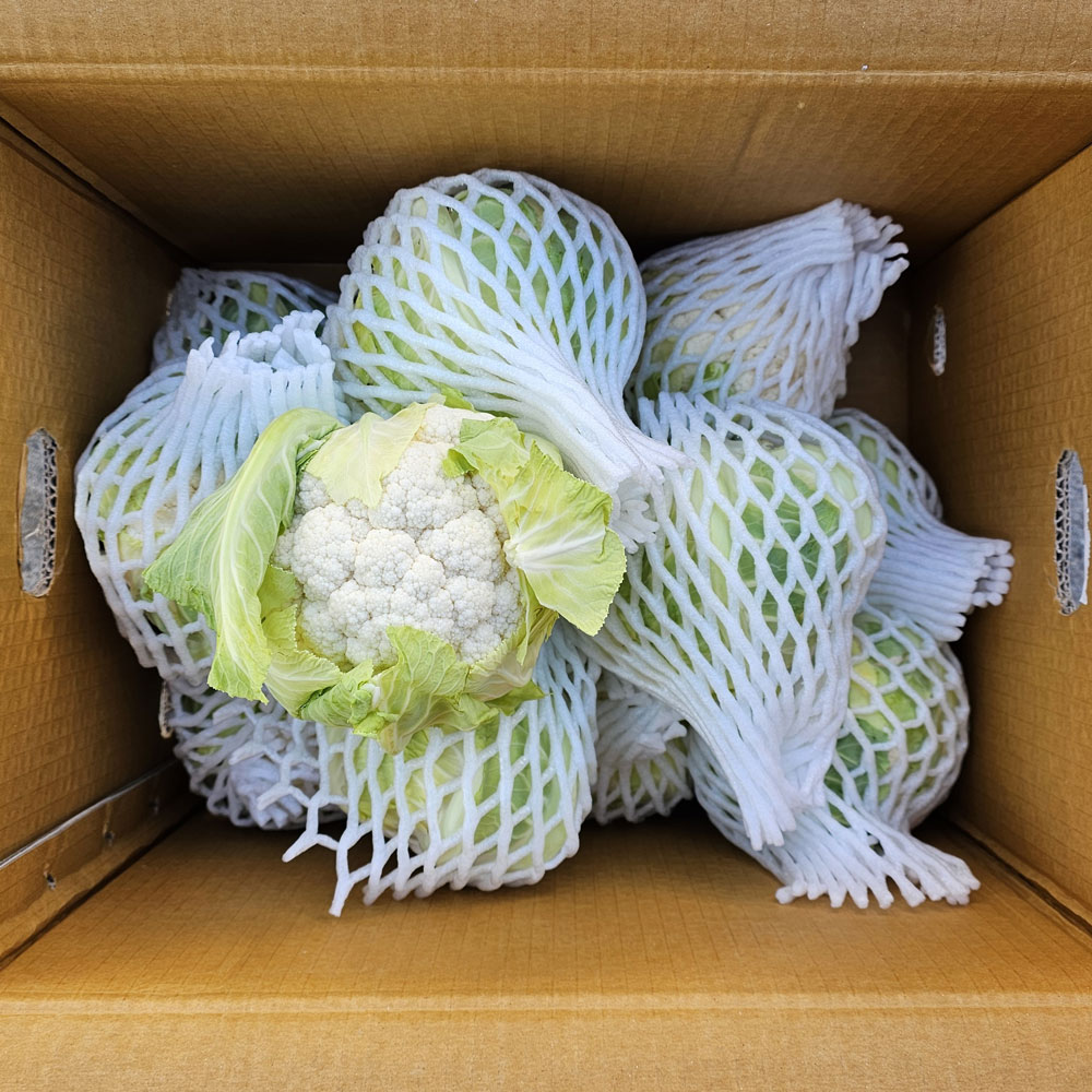 클릭마켓 제주산 생 콜리플라워 컬리플라워, 1개, 500g 7,500원