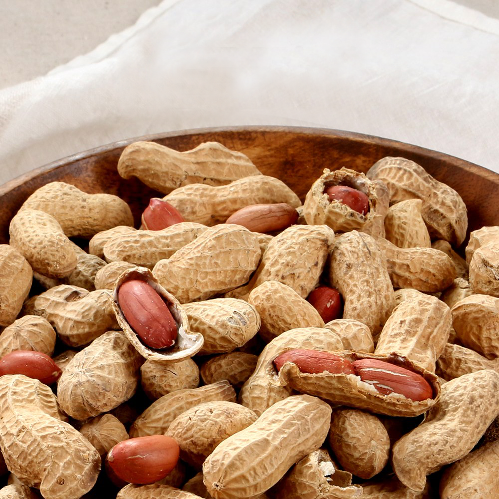 국산 햇 땅콩 볶음 볶은땅콩 피땅콩 생땅콩 17,500원