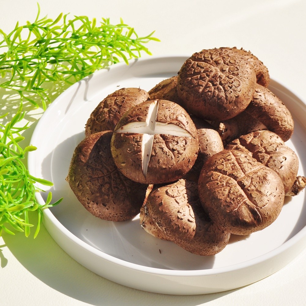 산지직송 생 프리미엄 정품 무농약 장흥 표고버섯, 1개, 4kg 62,900원