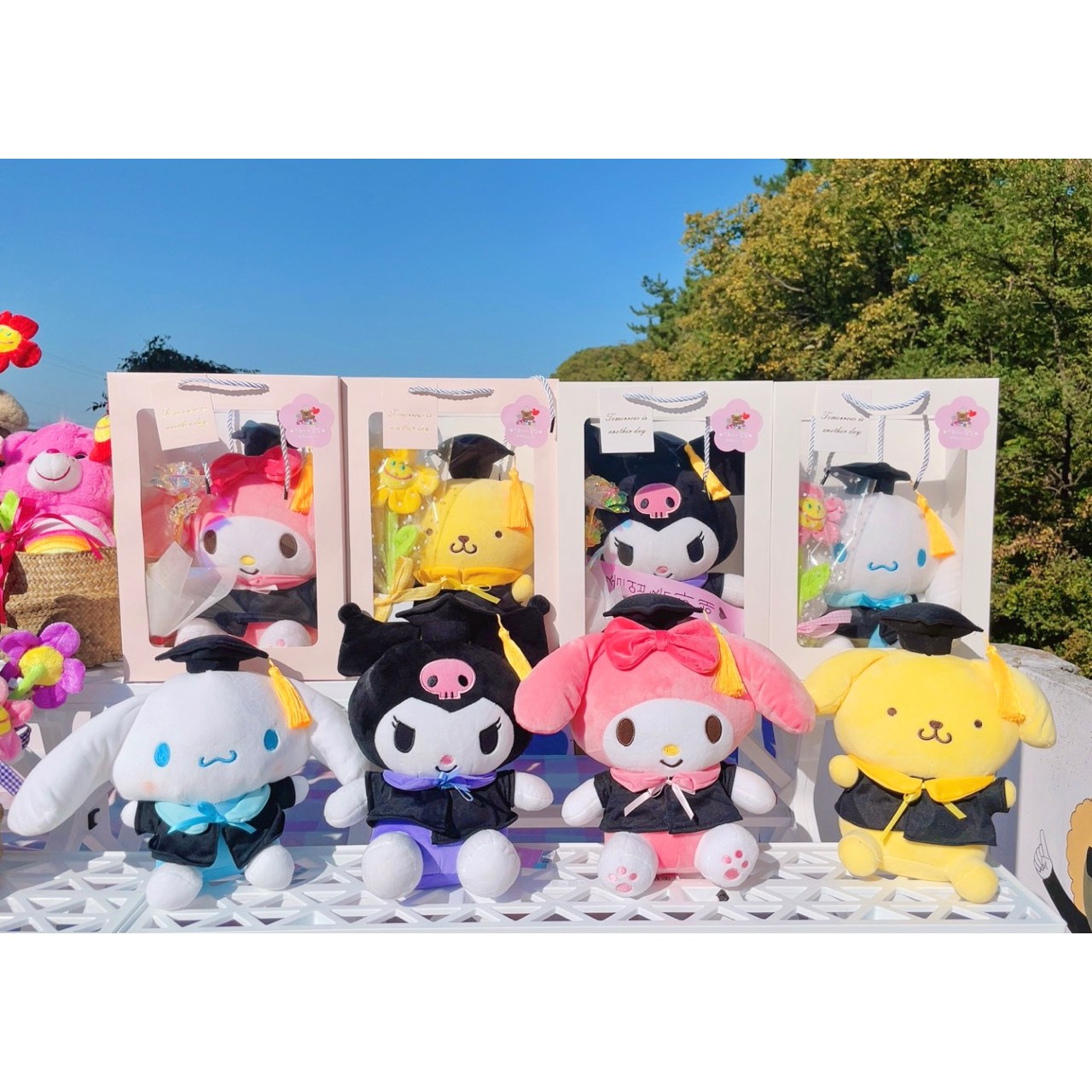 정품 학사모 산리오 4종 쿠로미 마멜 시나모롤 폼폼푸린 인형꽃다발 선물세트 꽃배달 졸업선물 26,900원