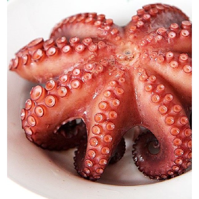 자숙문어651g~1.1kg 필리핀산 문어 숙회 샐러드 명절 제수용, 1개 18,900원