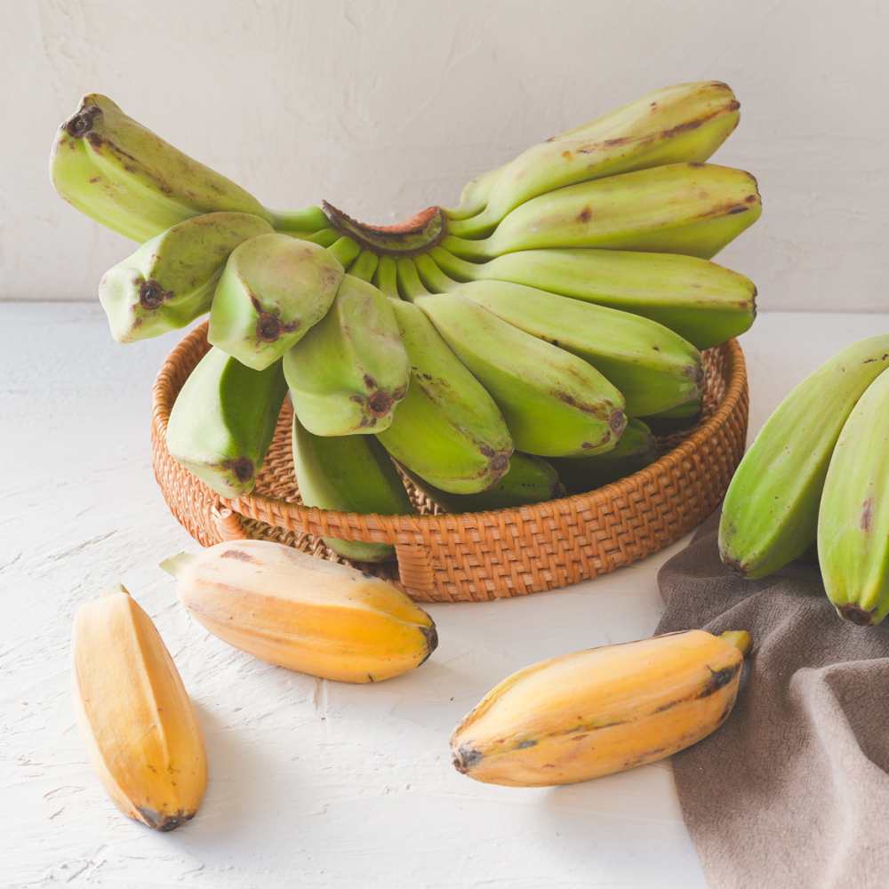 항공직송 와플기계 구워먹으면 꿀맛 초록바나나 그린사바 20,900원