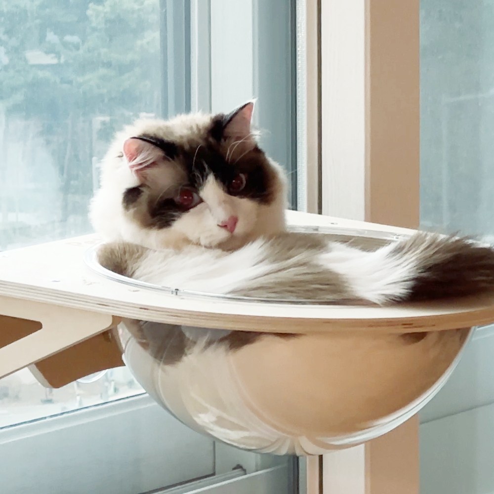 펫로지 고양이 창문해먹 원목 캣타워 36,660원