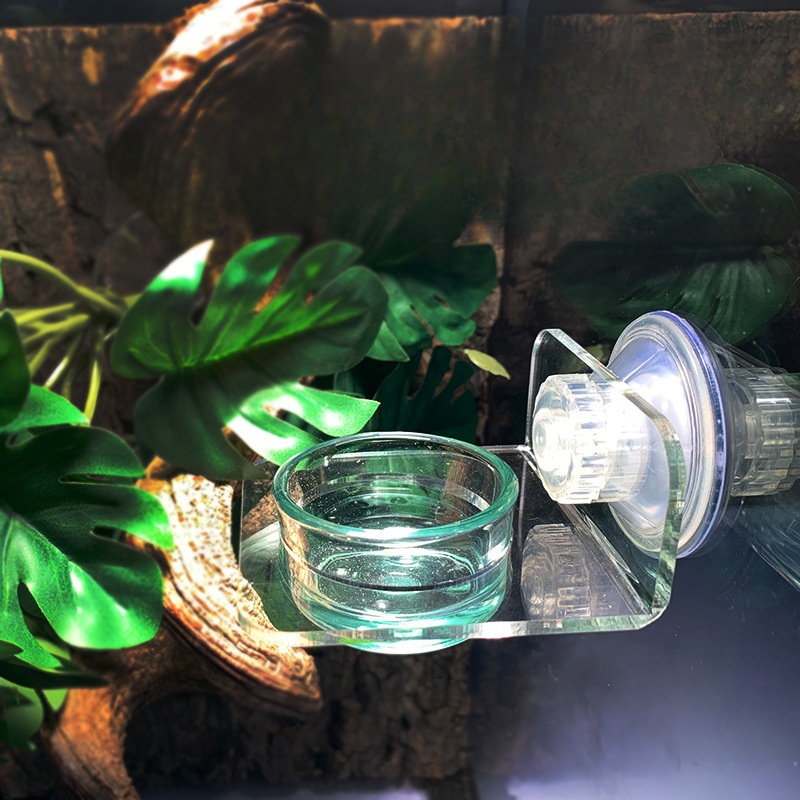 레몽크리프 파충류 크레스티드게코 흡착식 부착식 먹이 물그릇 1구 흡착, 단일색상, 1개 8,800원