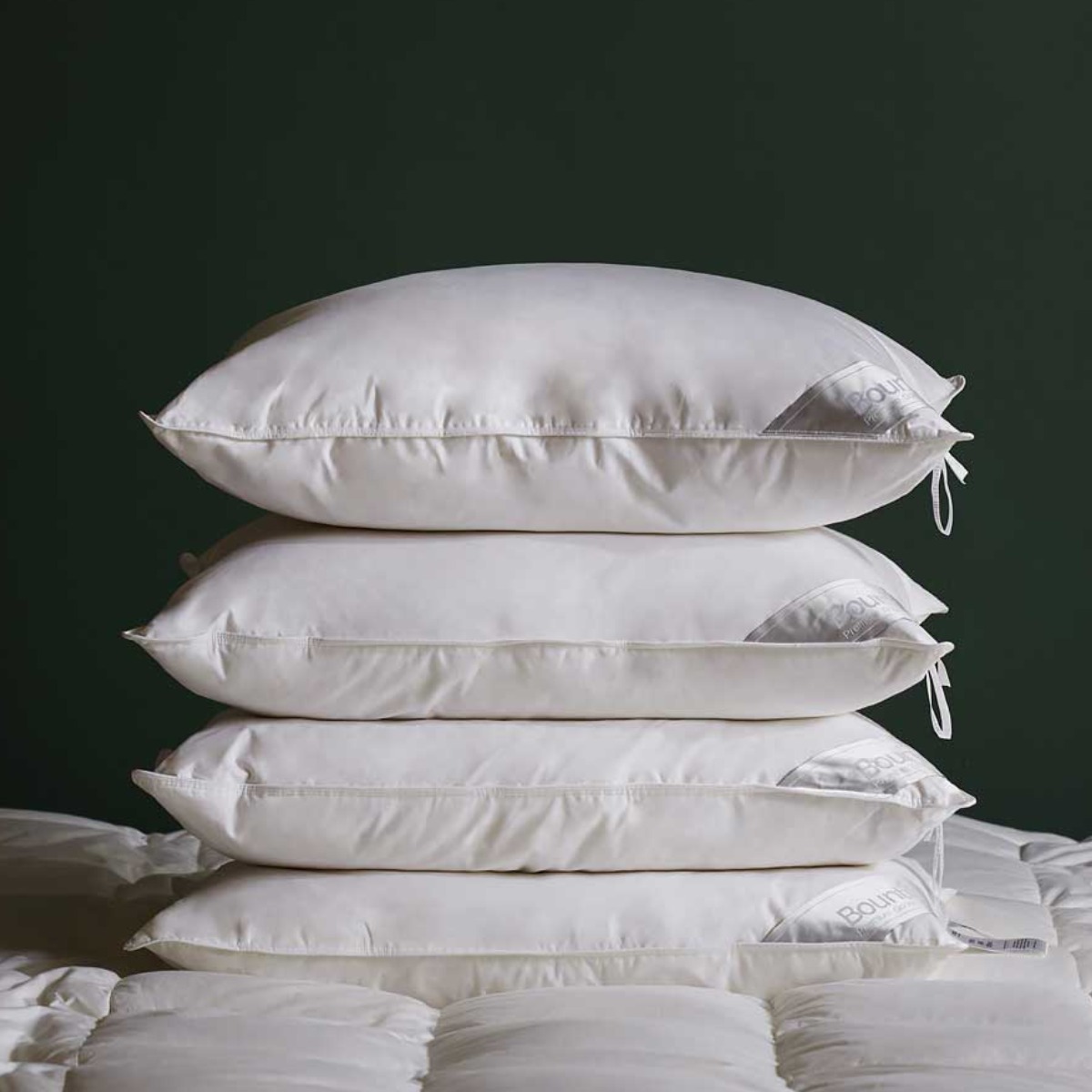 특급호텔침구 구스페더 다운필베개솜 900g, 900g, 1개 24,900원