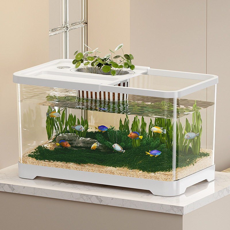 깨지지 않는 어항 대형 수조 대형 화이트+커버, 화이트, 1세트 39,800원