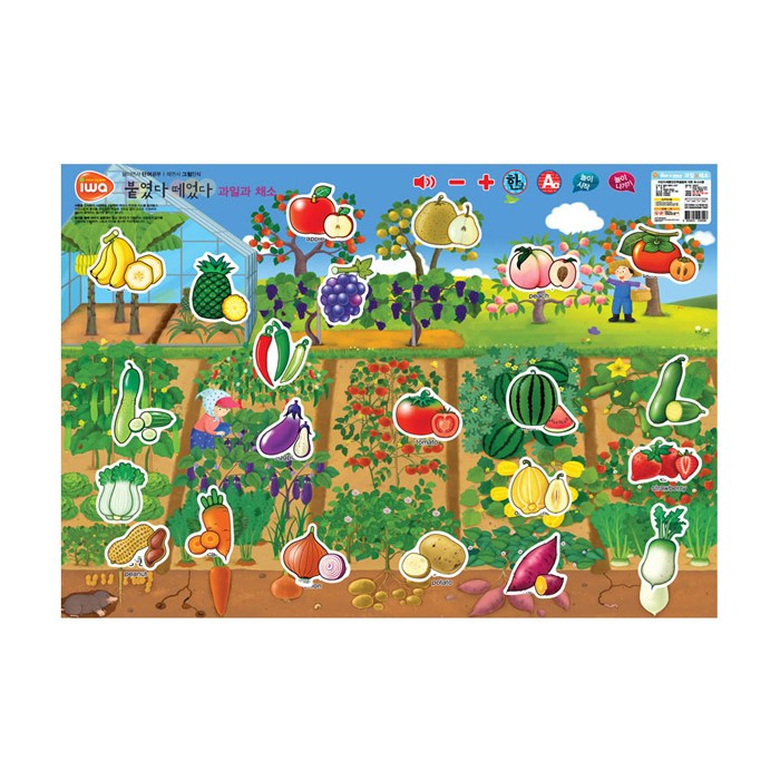 비앤씨 붙였다 떼었다-과일과 채소 6,800원