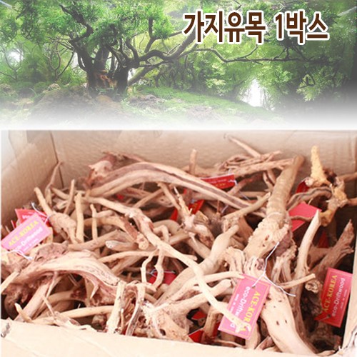 샘아쿠아 에이스 프리미엄 가지유목 1박스 74,700원