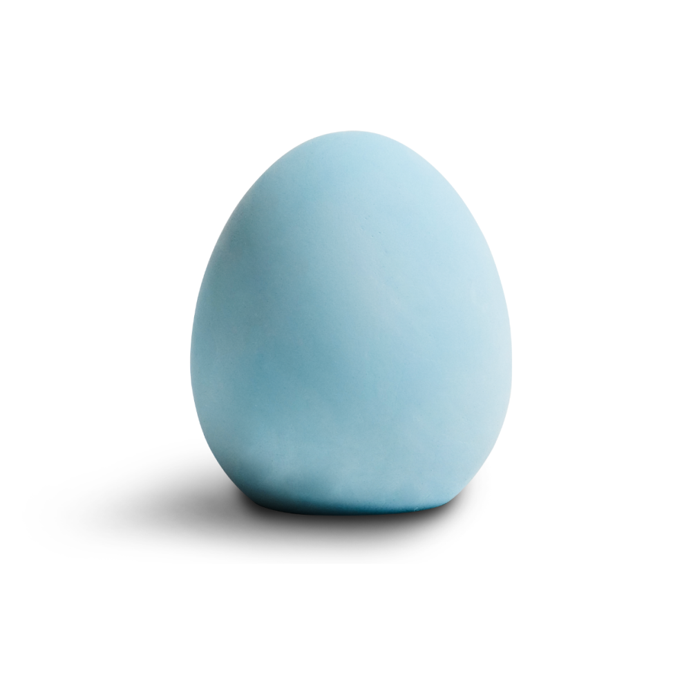 라이프스탠다드 냄새먹는 달걀, 100g, 1개 10,100원