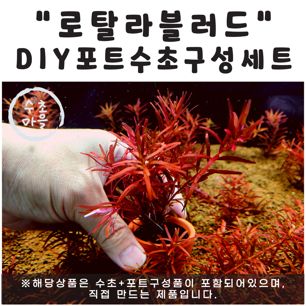 <수초마을> 직접만들어보는 로탈라블러드 DIY 포트수초 구성세트 붉은수초 구피은신처 14,000원