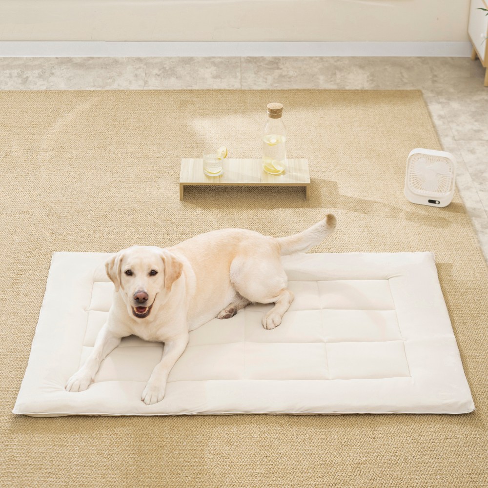 소하임 냉감 쿨링 통세탁 펫 방석 21,500원