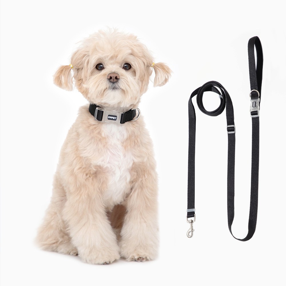펫펫펫 강아지 목줄 + 리드줄 세트, 블랙, 1개 24,700원