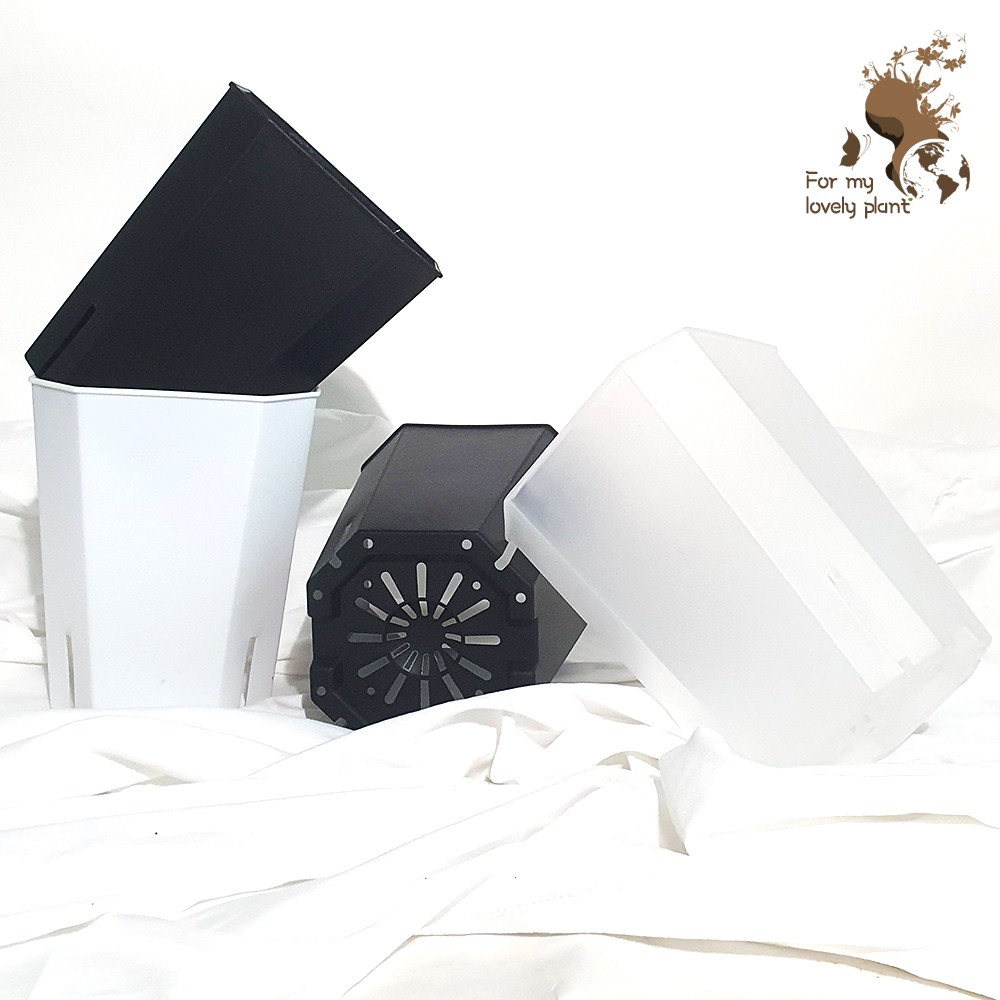 팔각 슬릿화분 플라스틱 화분 플분 가벼운 삽목 제라늄 분갈이 화분 5호 거목산업사 450원