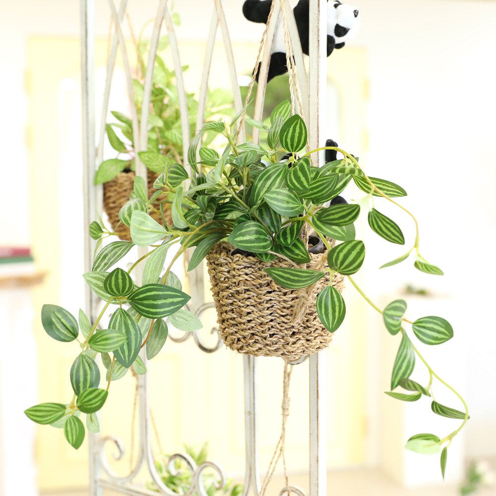 1+1 인테리어 조화 행잉플랜트 벽장식 가랜드 뉴행잉넝쿨화분바구니세트 21,800원