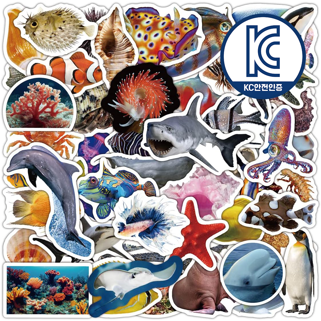 플레이그루 바다 동물 해양 생물 스티커 세트 50장, 1세트, 혼합색상 7,800원