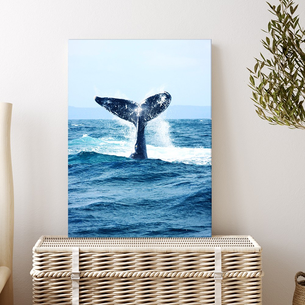 바다사진 물그림 바다액자 물사진 물멍 카페 감성 해변 창문 인테리어 캔버스 액자, 20.바다고래(세로형), 현재가 27,300원