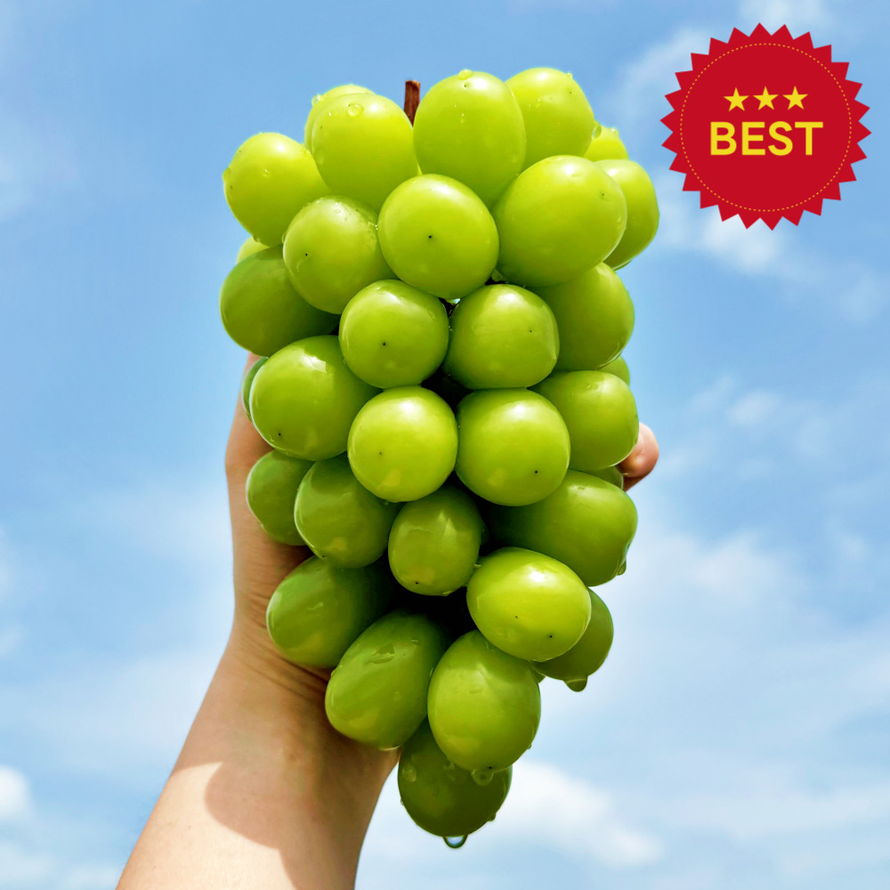 사계절농장 고당도 샤인머스켓 19,900원