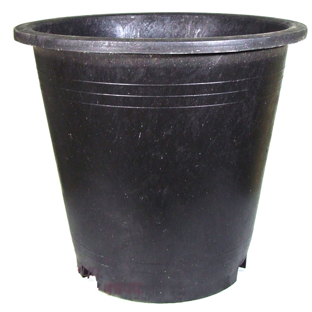 고무화분 2자 원분시리즈/대형화분 화분 블루베리화분 플라스틱화분, 1개 78,100원