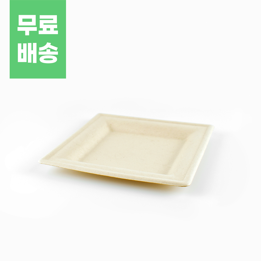 DRP 일회용 펄프 사각 접시 파티용 케이터링 트레이 SP-01, 1개 67,810원