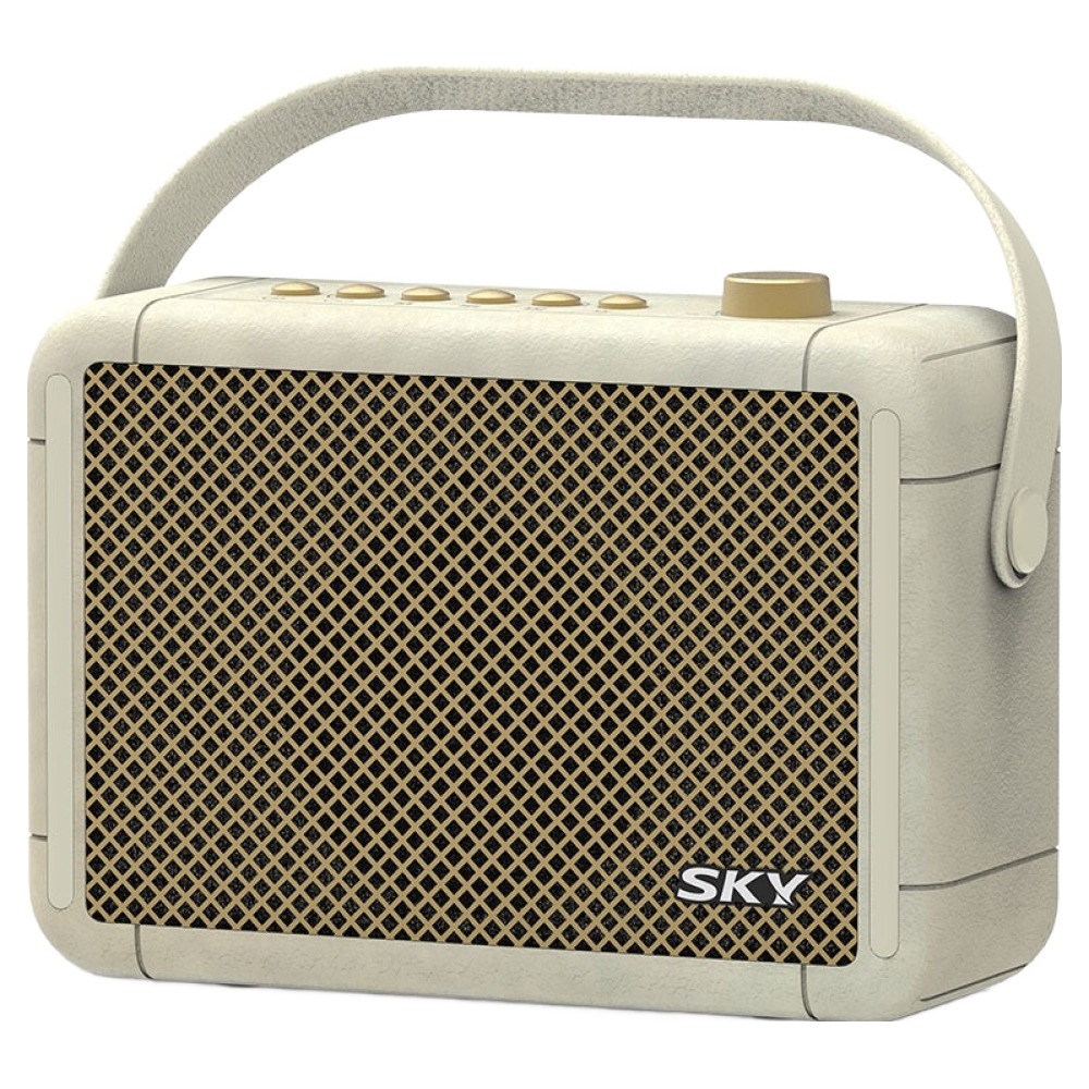 SKY 휴대용 붐 A3 블루투스 6.0 스피커 10W, IM-A3, 베이지, 현재가 34,990원