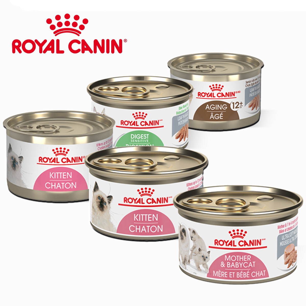5캔 로얄캐닌 아기고양이/성묘용 캔통조림 5종 택1 49,700원