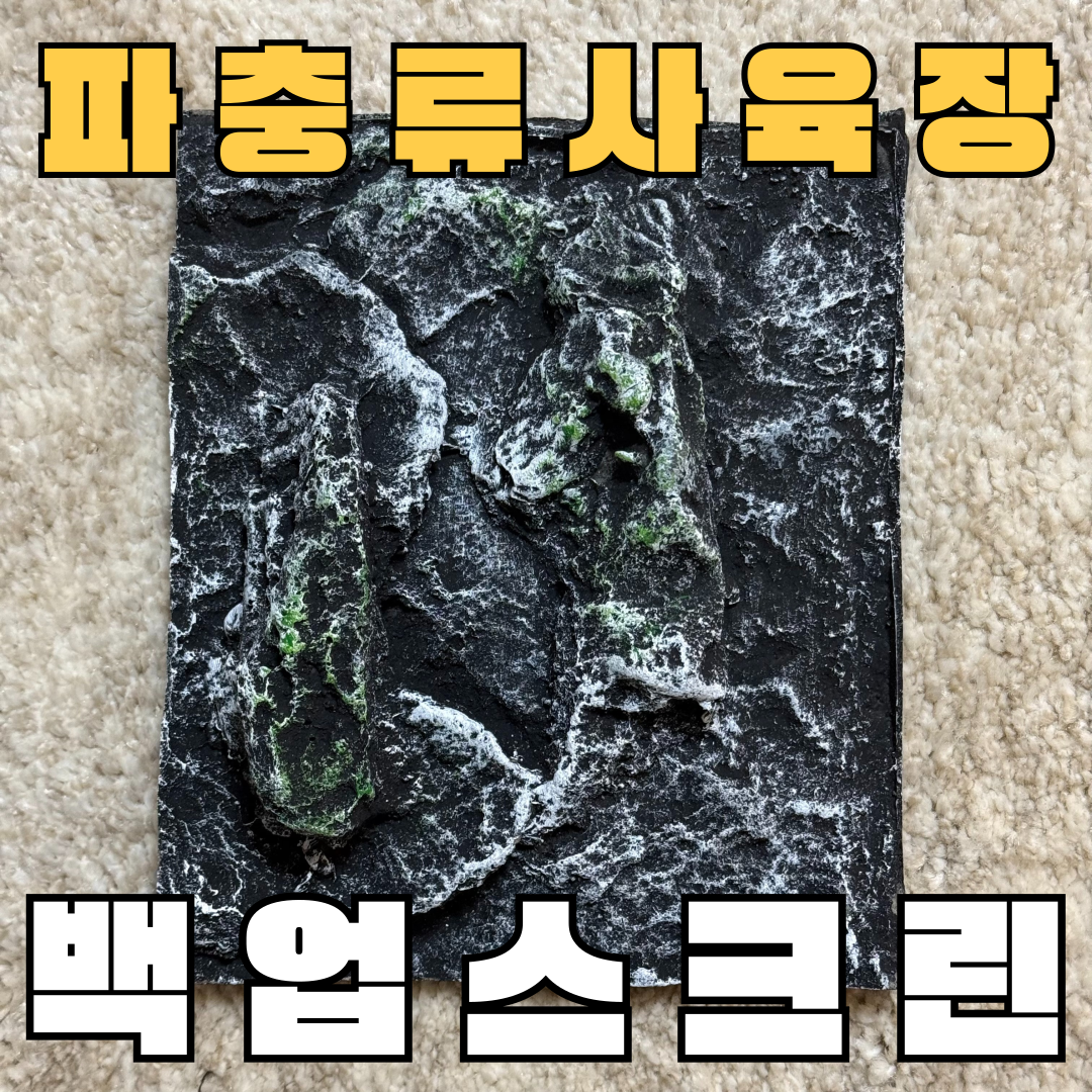 주스터디 극사실 파충류 크레편해 백업스크린 15,900원