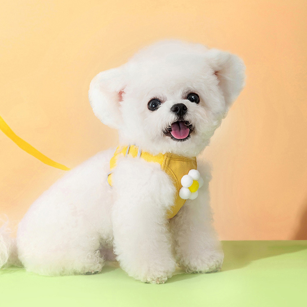 파스텔펫 반려동물 자수 포인트 하네스 + 리드줄 세트, 옐로우, 1세트 9,400원