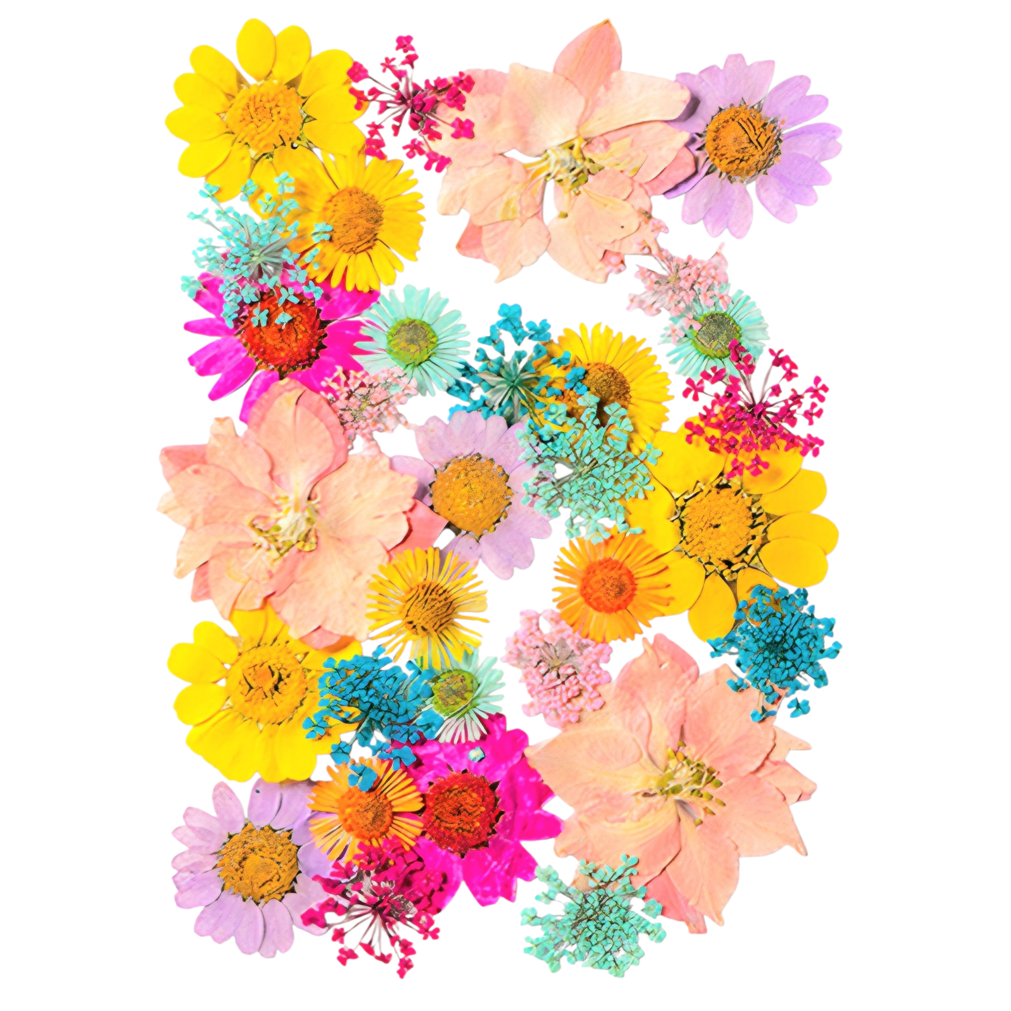 압화, 생화, 꽃, 누름꽃, 레진공예재료, 압화공예재료 8,500원