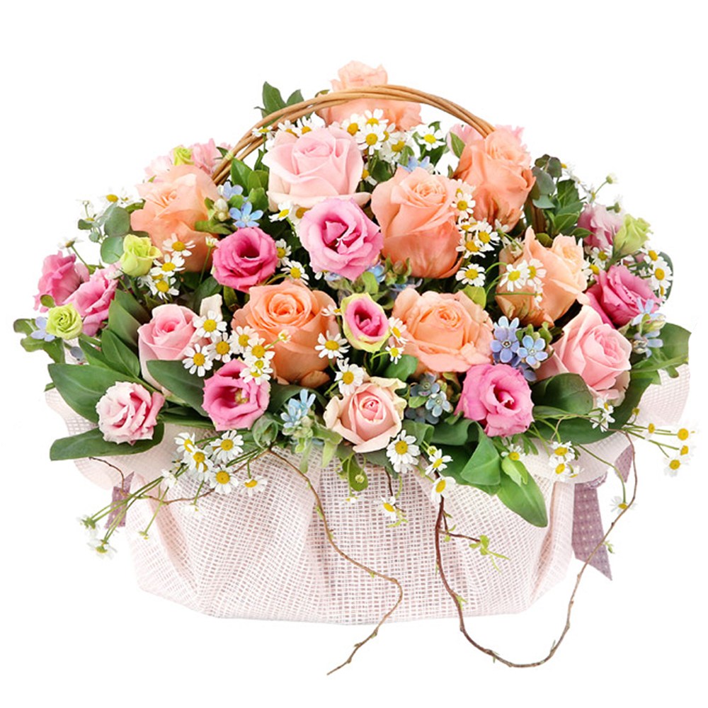 99플라워 (당일수령) 미소담은 꽃바구니 [ST-A2005] 기념일 선물 꽃 장미 꽃배달서비스 당일배송 꽃다발 꽃바구니 꽃상자 66,900원